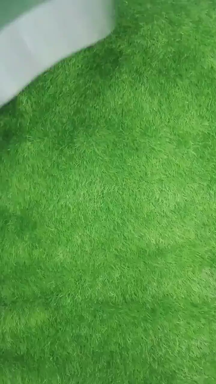 Pakistan`s T-20 World cup shirt